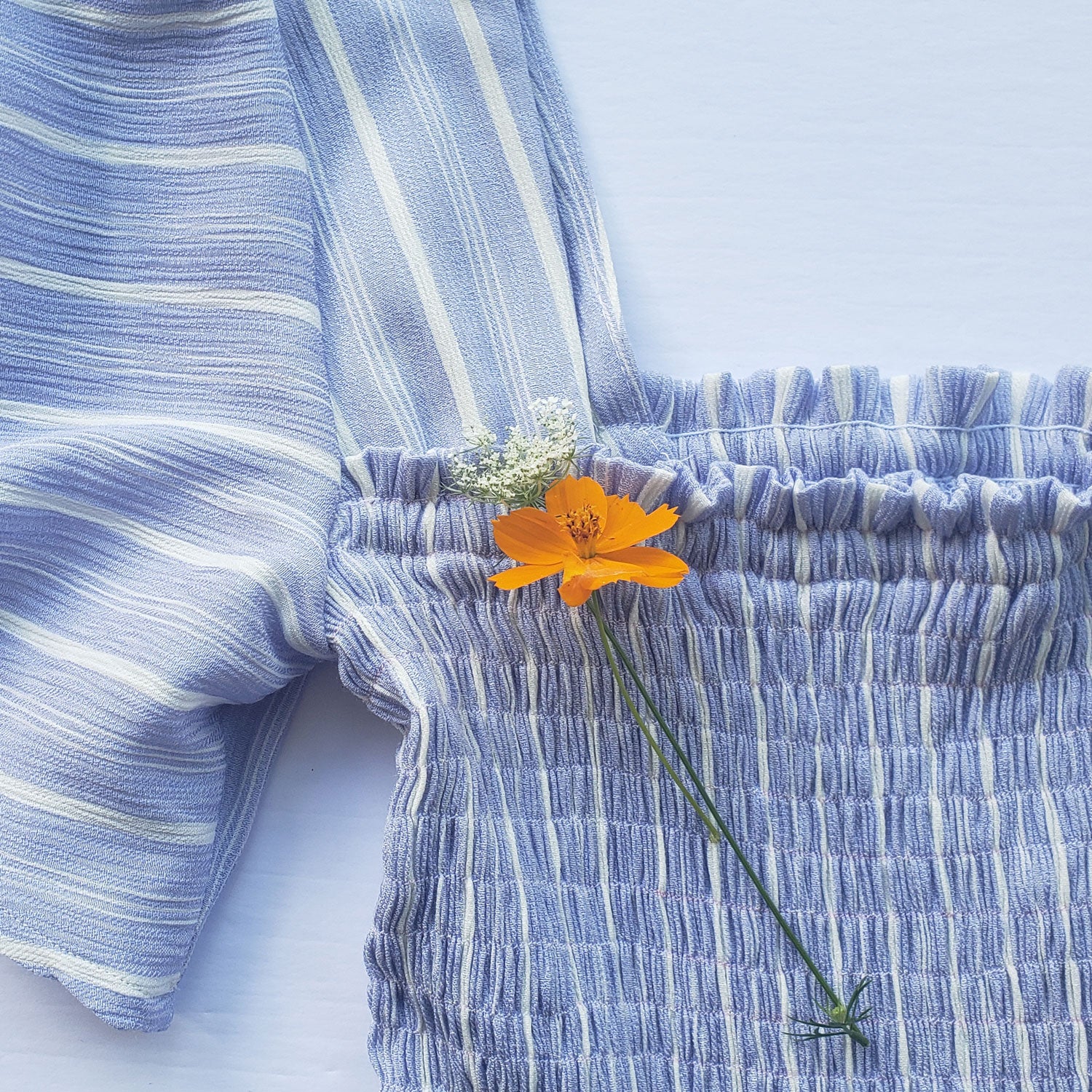 Sofia Inspiration & Resources