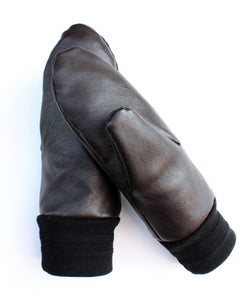 The Atlas Mitten PDF - Victory Patterns